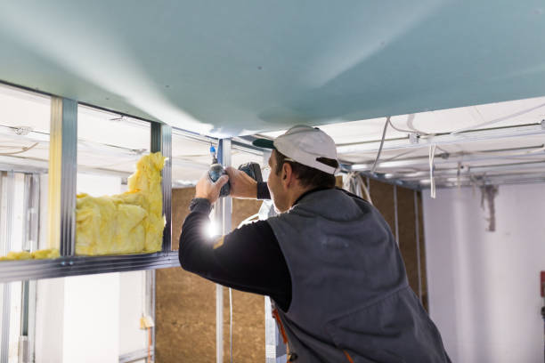 Best Garage Insulation Installation  in Lakewood Park, TN