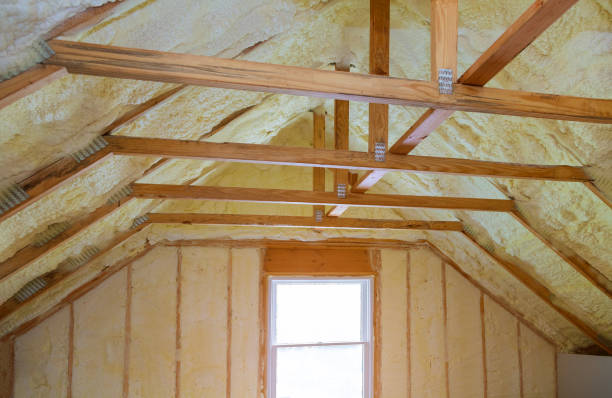Best Insulation Contractor Near Me  in Lakewood Park, TN
