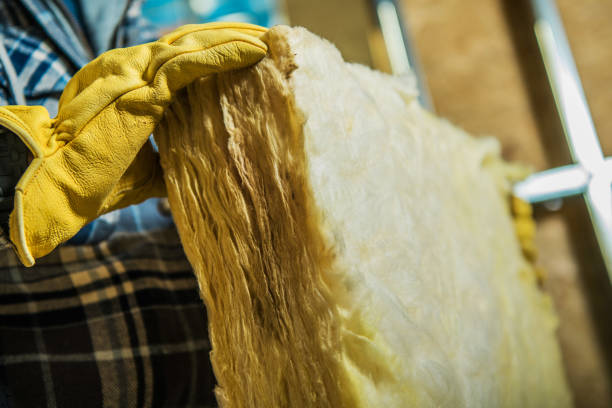 Best Home Insulation Services  in Lakewood Park, TN