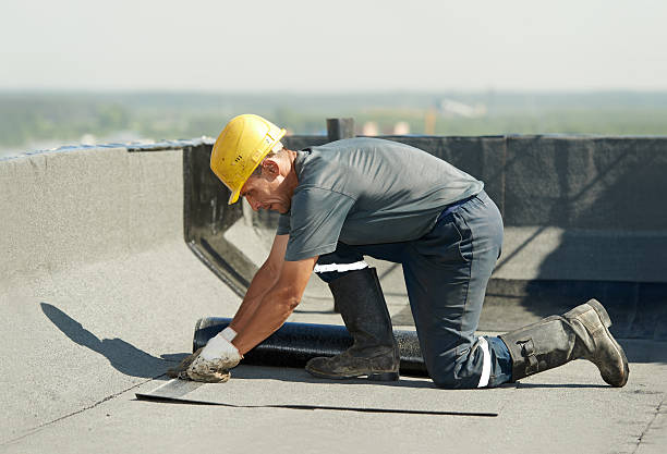 Best Fiberglass Insulation  in Lakewood Park, TN