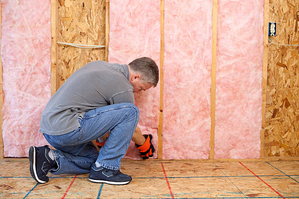 Best Attic Insulation Installation  in Lakewood Park, TN