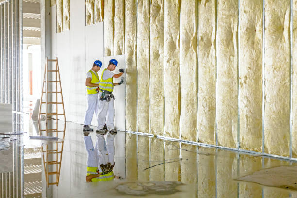 Best Attic Insulation Installation  in Lakewood Park, TN